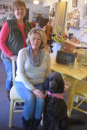 Sisters Patti Ridenbaugh (standing) and Debbie Ungurean (sitting) have opened Kozy Kottage Antiques & Gifts. The shop will have its grand opening on Friday, March 24. Pictured with them is the shop’s dog, Patsy Cline. Josie Sellers | Beacon