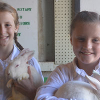 Raising rabbits enjoyable but hard work