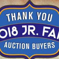 2018 Jr. Fair Auction Section