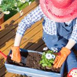 Museum event topic is gardening