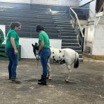 Ag for All Abilities show will be held Sept. 27th at the fair