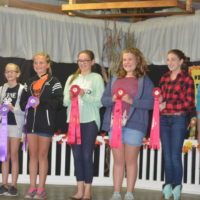 4-H members practice speaking in non-competitive event