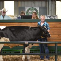 Friends of the Junior Fair Livestock auction taking donations