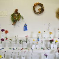 Garden clubs share flower show results