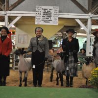 Lamb lead show honors Nancy Porteus