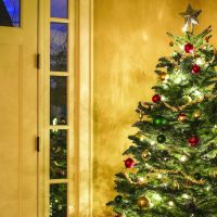 Leadership Coshocton to have Christmas tree drive