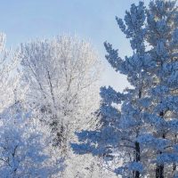 Extreme cold and wind in the forecast for Coshocton County