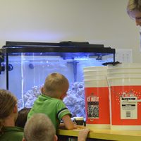 Aquarium is new feature in the children’s room at library