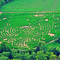 McPeek’s Mighty Corn Maze featured in blog