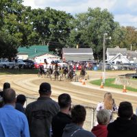 Harness racing featured at fair