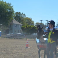 Costume class brings out creative side of horse show participants