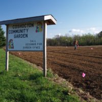 Community garden to start up again this year